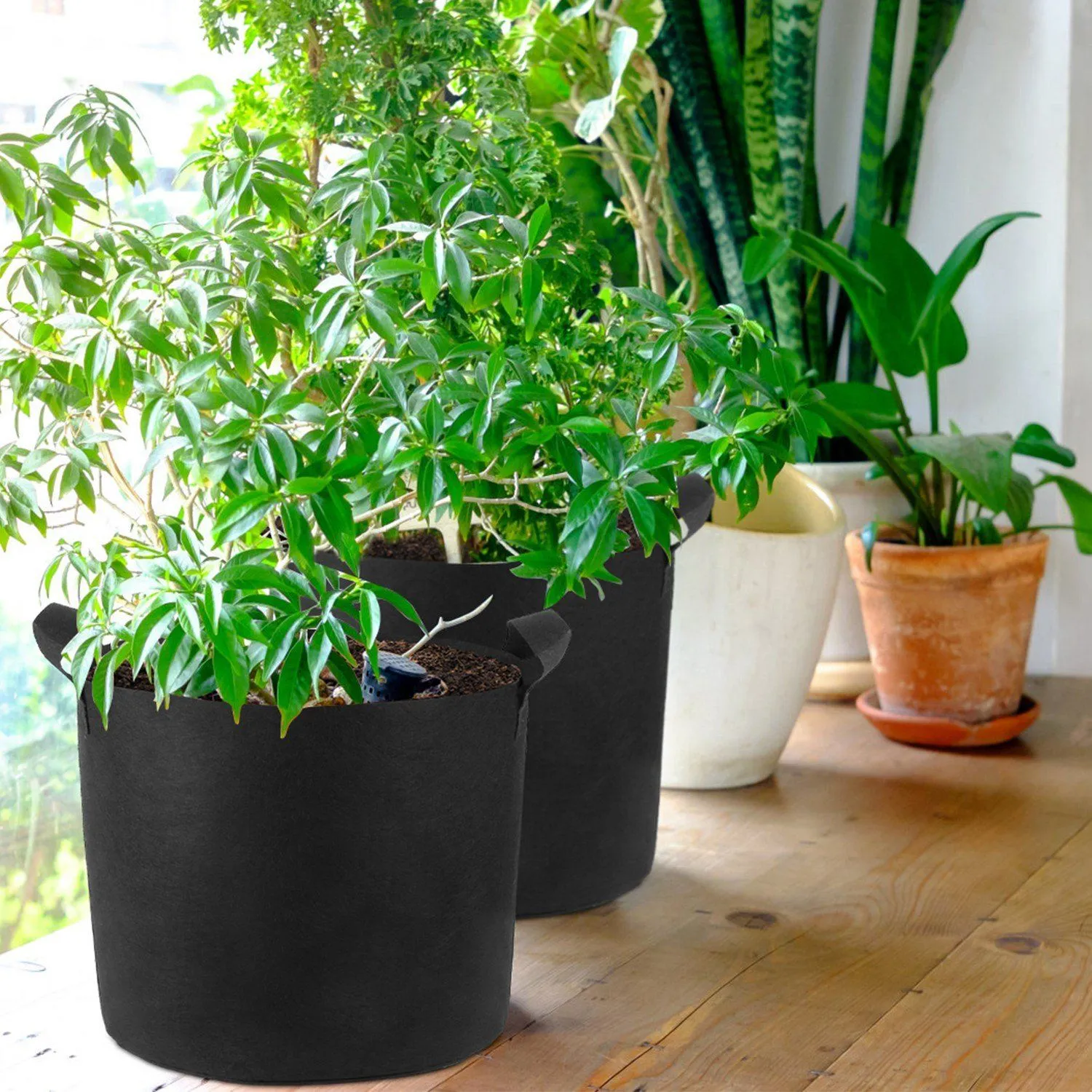3-Pack: Planter Bags Breathable Planting Fabric Pots with Harvest Window