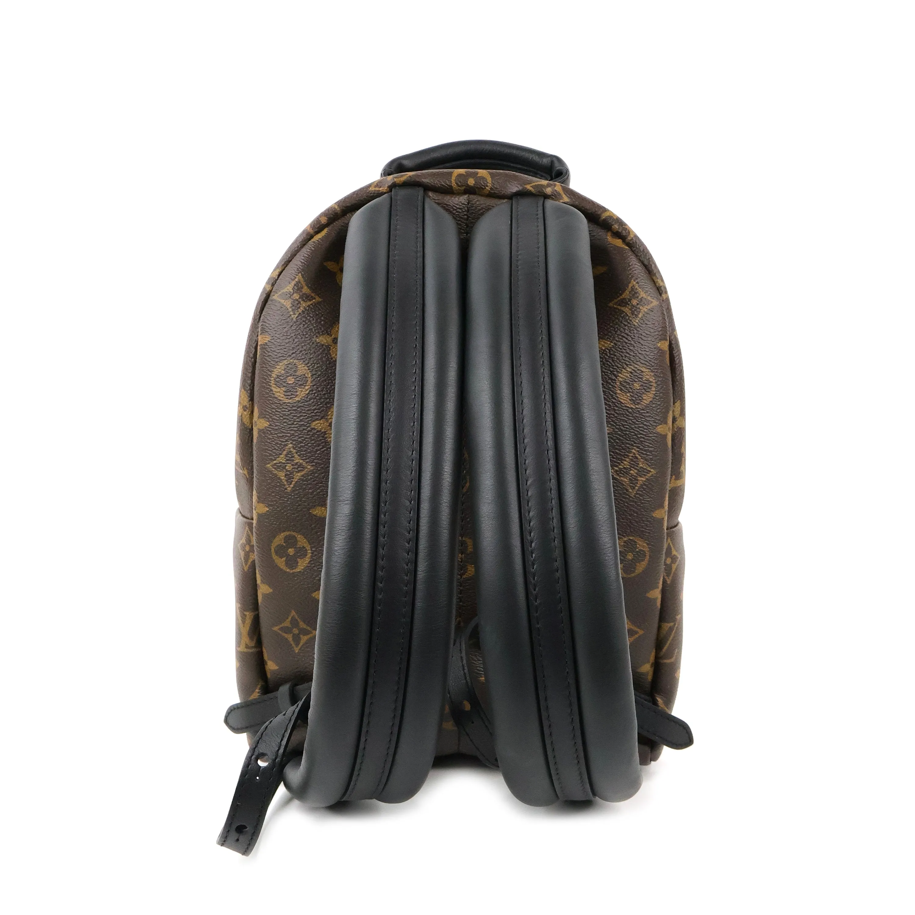 Louis Vuitton Monogram Palm Springs Backpack PM