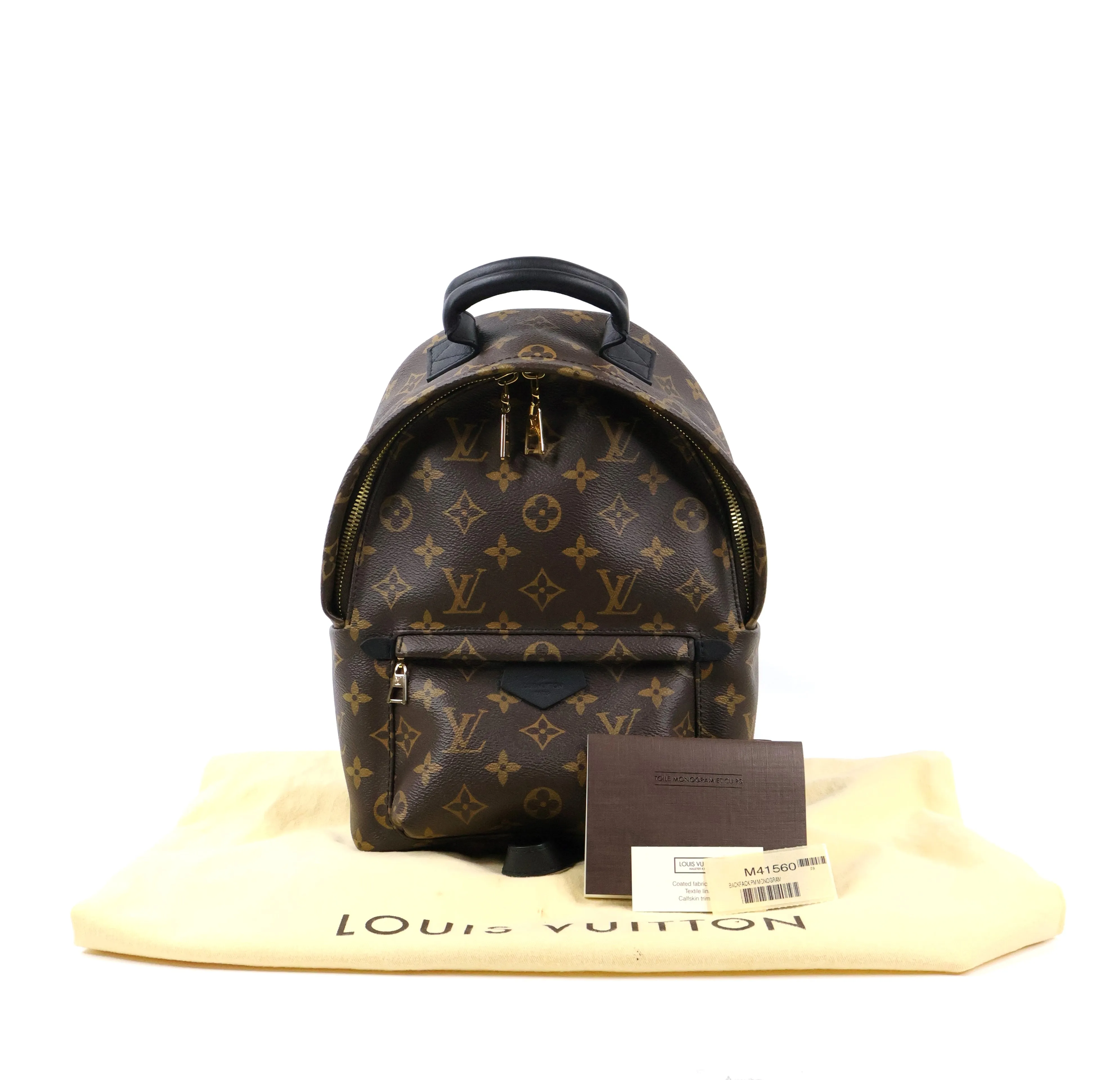 Louis Vuitton Monogram Palm Springs Backpack PM