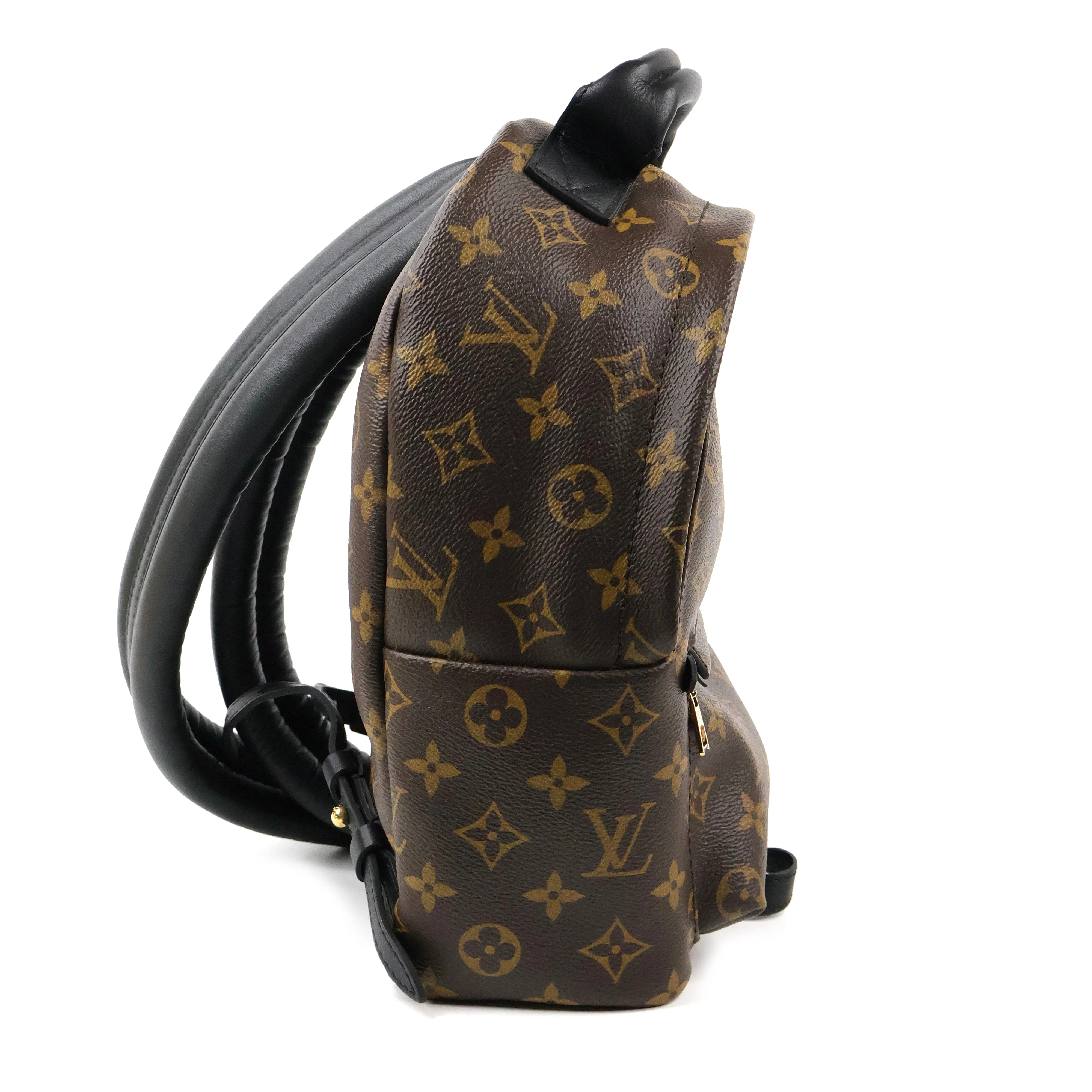 Louis Vuitton Monogram Palm Springs Backpack PM