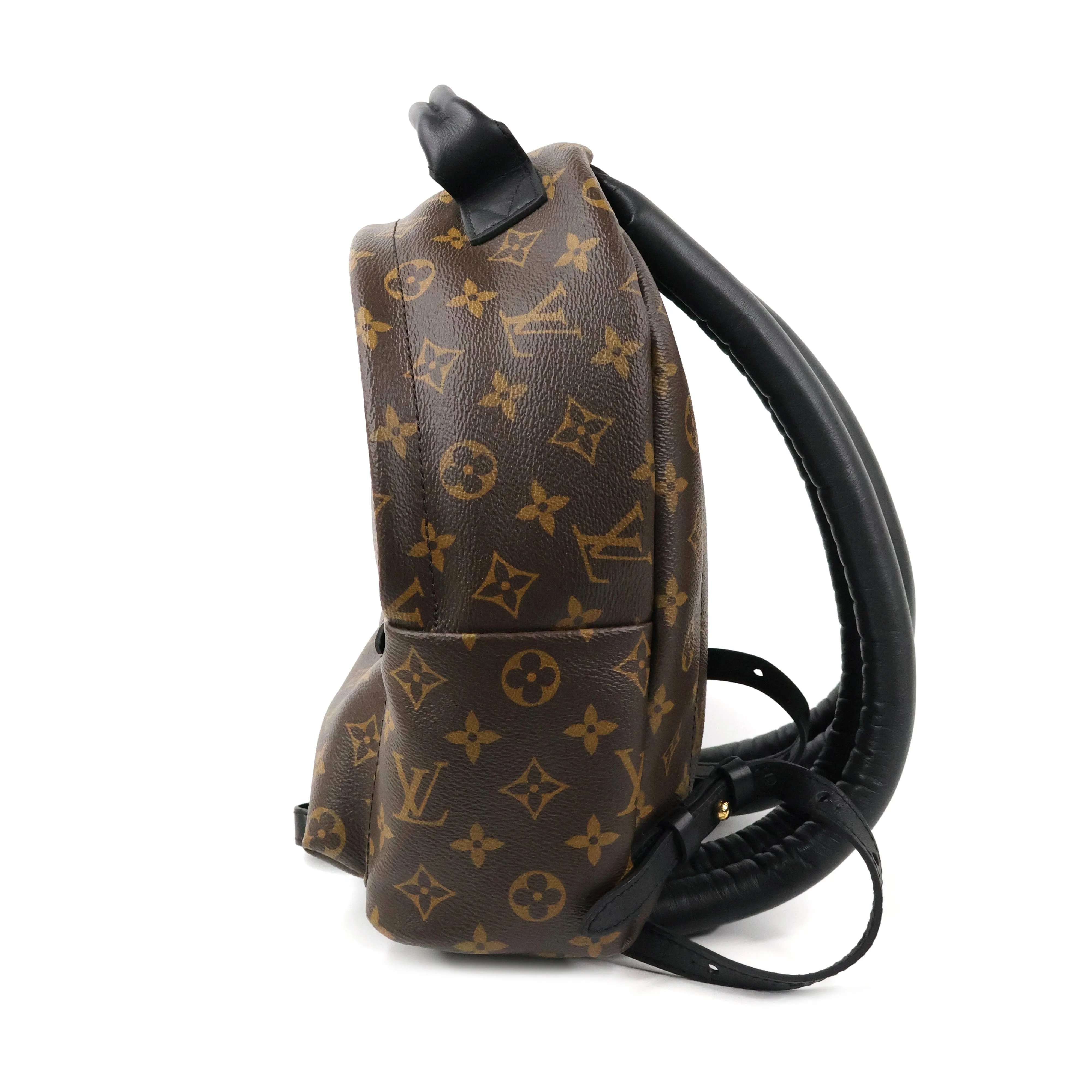 Louis Vuitton Monogram Palm Springs Backpack PM