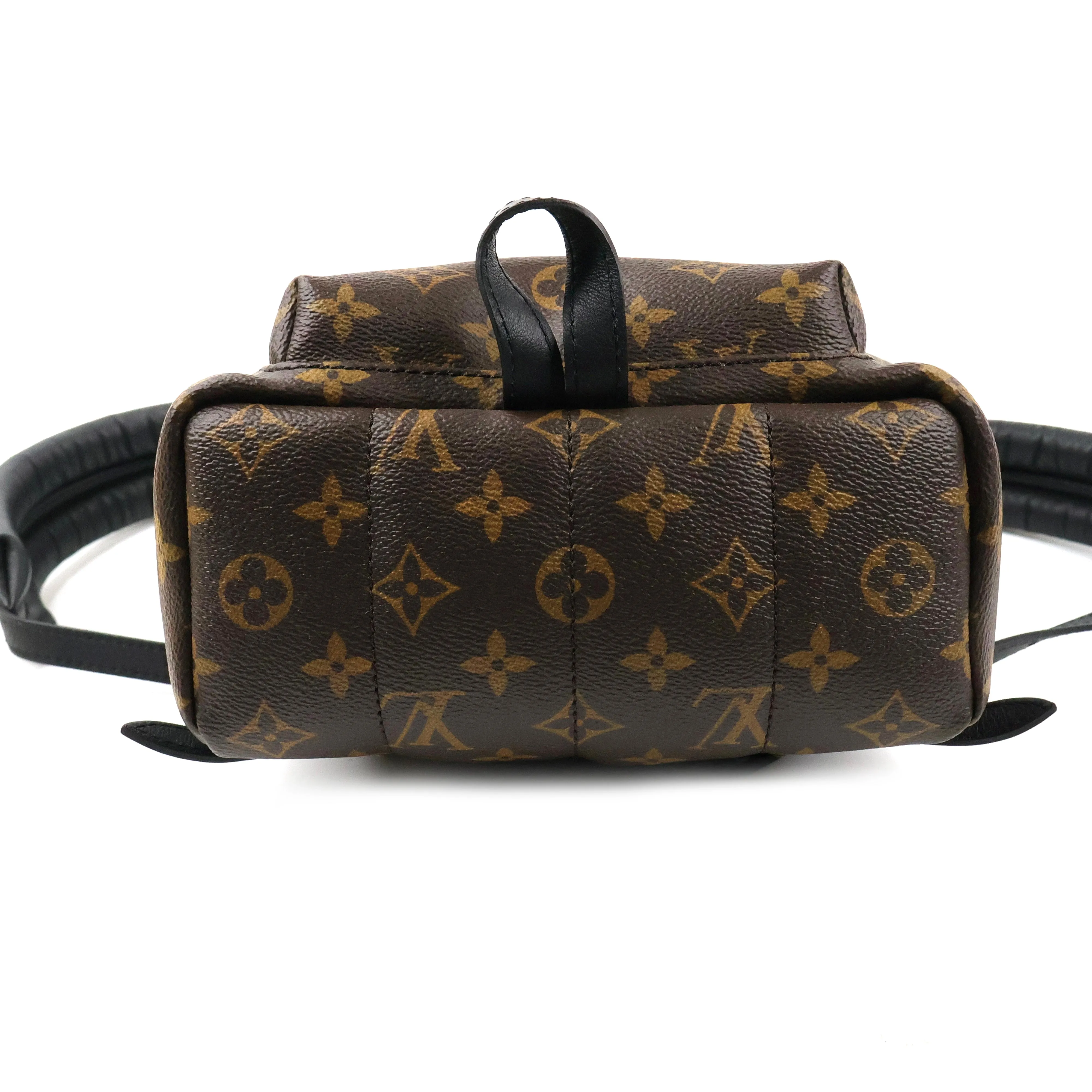 Louis Vuitton Monogram Palm Springs Backpack PM