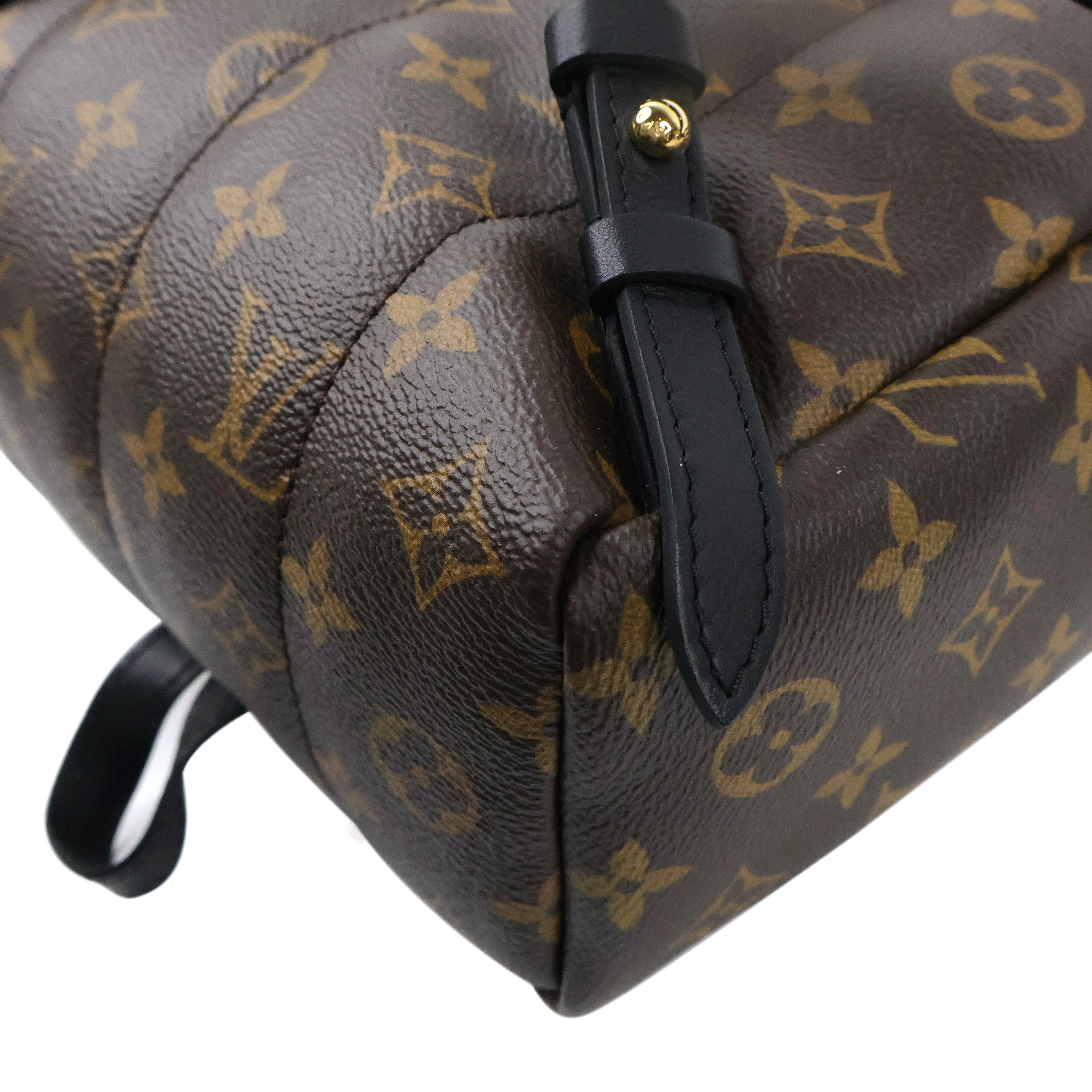Louis Vuitton Monogram Palm Springs Backpack PM