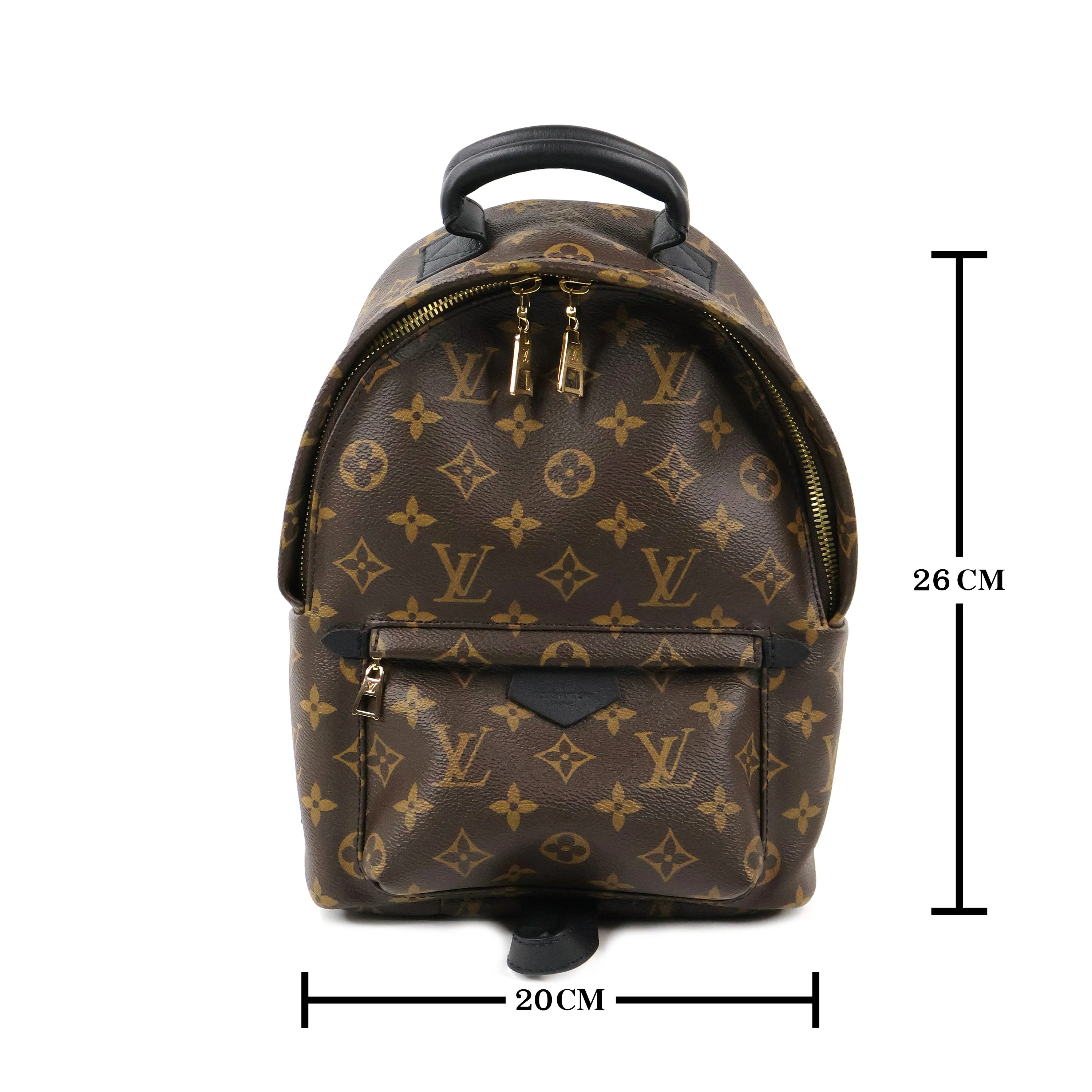 Louis Vuitton Monogram Palm Springs Backpack PM